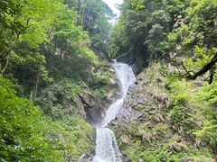 -石台牯牛降景区