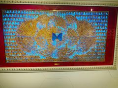 -上海昆虫博物馆