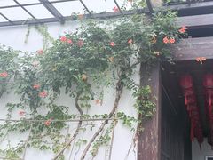 -香积寺
