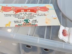 -瑞派天使宠物医院·神经外科·骨科·核磁CT(洛川中路店)