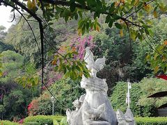 -金鸡山公园