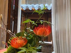 -叶叶菩提(太原别墅店)