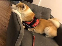 -YCHL Studios健身工作室(市二宫店)