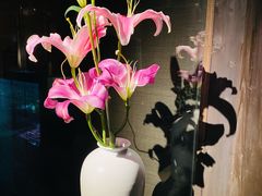 -觀芷隐轩