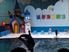 -蓬莱欧乐堡海洋极地世界