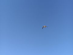 -那香海钻石沙滩浴场