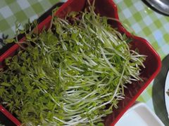 -番食园鲜食火锅(高新店)