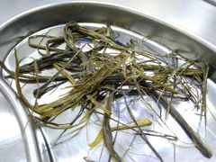 -爱妮康宠物医院·干细胞免疫细胞·肿瘤·心脏(张江店)