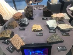 -浙江自然博物院(杭州馆)