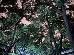 -北京国子监胡同