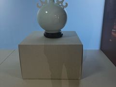 -北京大学百年讲堂