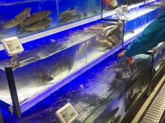 -盒马鲜生(莱蒙都会店)