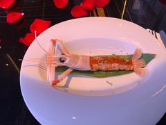亚德里亚海鳌虾-wann lounge 低温慢煮牛排·清吧