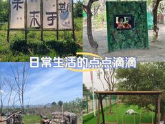 -亲兄弟真人CS团建拓展基地