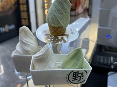 -野人先生现做冰淇淋(西安赛格店)