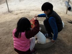 -前小桔亲子创意农场·草莓采摘·露营烧烤