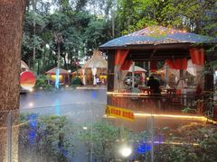 -二荆条·蜀鲜汇城市森林火锅