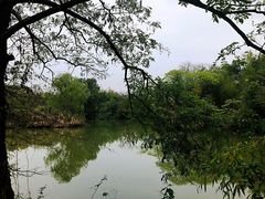 -西溪国家湿地公园