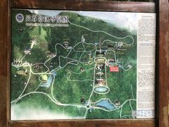 -灵谷景区