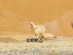 -武汉动物园
