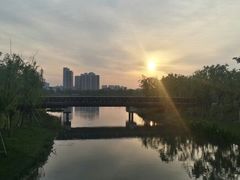android_upload_pic-南翔镇银翔湖公园
