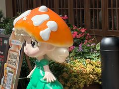 -菌自由丨野生菌火锅特色庭院餐厅(丽江古城店)