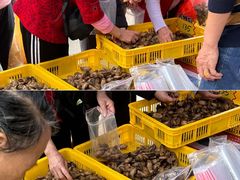 -细村农贸综合市场