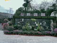 -仙岳公园