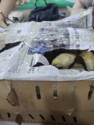 -268童话露营农场·烧烤·团建