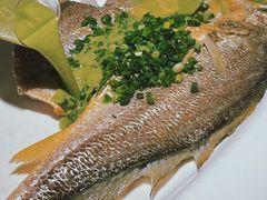 烧椒汁大黄鱼-飶香居(省博物馆店)