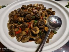 干煸口蘑-九十九顶毡房(阜石路店)