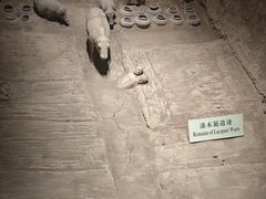-汉景帝阳陵博物院