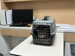 -谐和益家动物医院·免疫绝育·血液透析·宠保定点医院(高新伊藤分院)