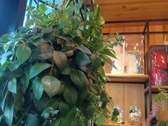 -爱尚幸福鲜花(上地实体店)