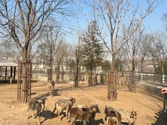 -太原动物园