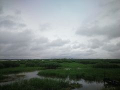 -镇江市南山风景名胜区竹林景区