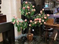-御茶膳房皇家糕点博物馆(北京首店)