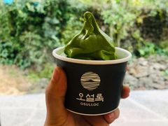 -雪绿茶博物馆