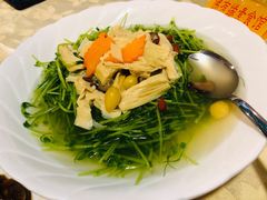 鲜腐竹银杏上汤浸有机豆苗-佛有缘·32年老字号(广州首店)