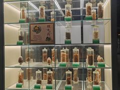 -广东中医药博物馆