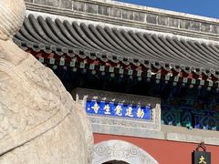 -同庆楼(大钟寺店)