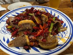 -福苗小骆驼烧烤(莲湖路店)