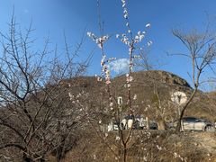 -妙峰山风景名胜区