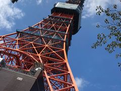-东京塔海贼王主题公园