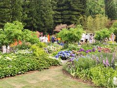 -深圳仙湖植物园