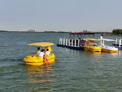 -天津东丽湖风景区