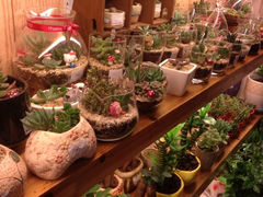 iphone_upload_pic-妃比花艺(光启城时尚购物中心店)