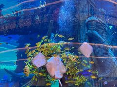 -观音桥步行街