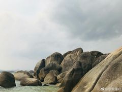 -三亚湾红树林度假世界(木棉酒店)