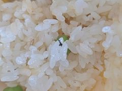 -盛记粥面(佐敦店)